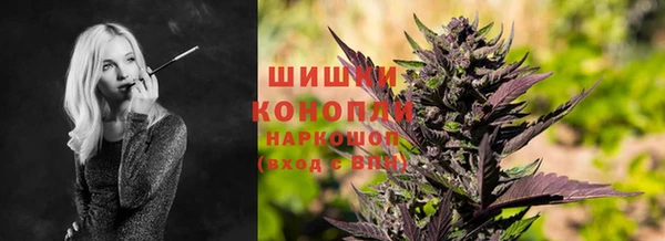 гидра Балахна