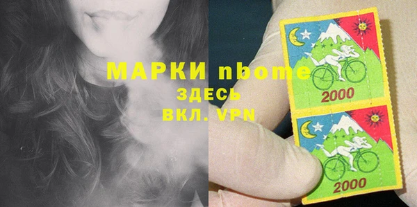 индика Семилуки
