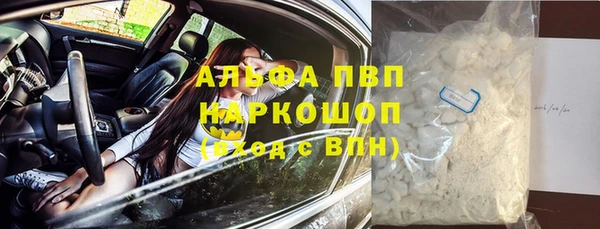 мяу мяу мука Баксан