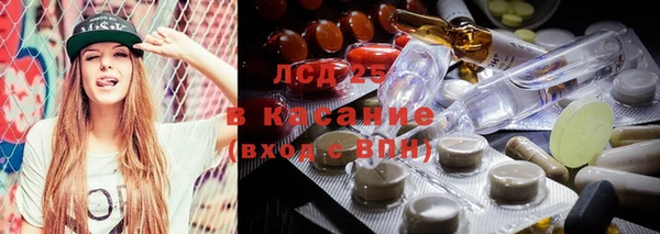 мяу мяу мука Баксан